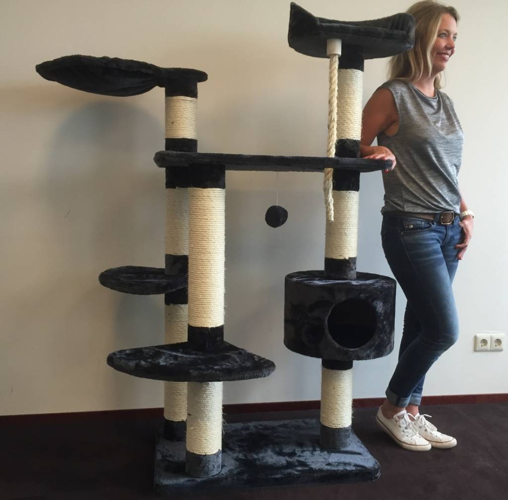 arbre a chat robuste